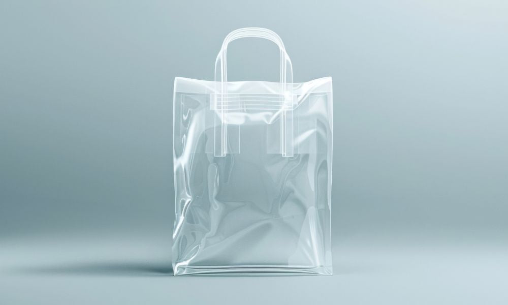 What You Need To Know About Clear Bag Policies